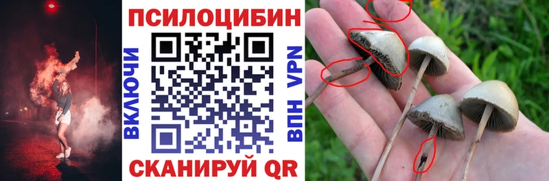 Галлюциногенные грибы мухоморы  Кострома 